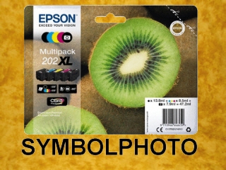 T02G / T02G74010 / 202XL * original Epson