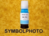 GI51C / GI-51C / 4546C001 *