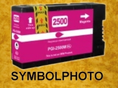 PGI2500XLM / 2500XL *