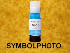 GI51C / GI-51C / 4546C001 *